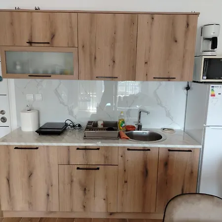 With Pool Veliko Gradište